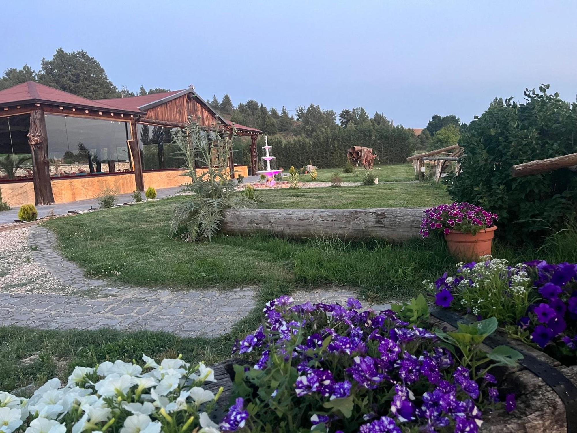 El Burgo De Osma Alojamiento Rural Villa Bagh Zewnętrze zdjęcie