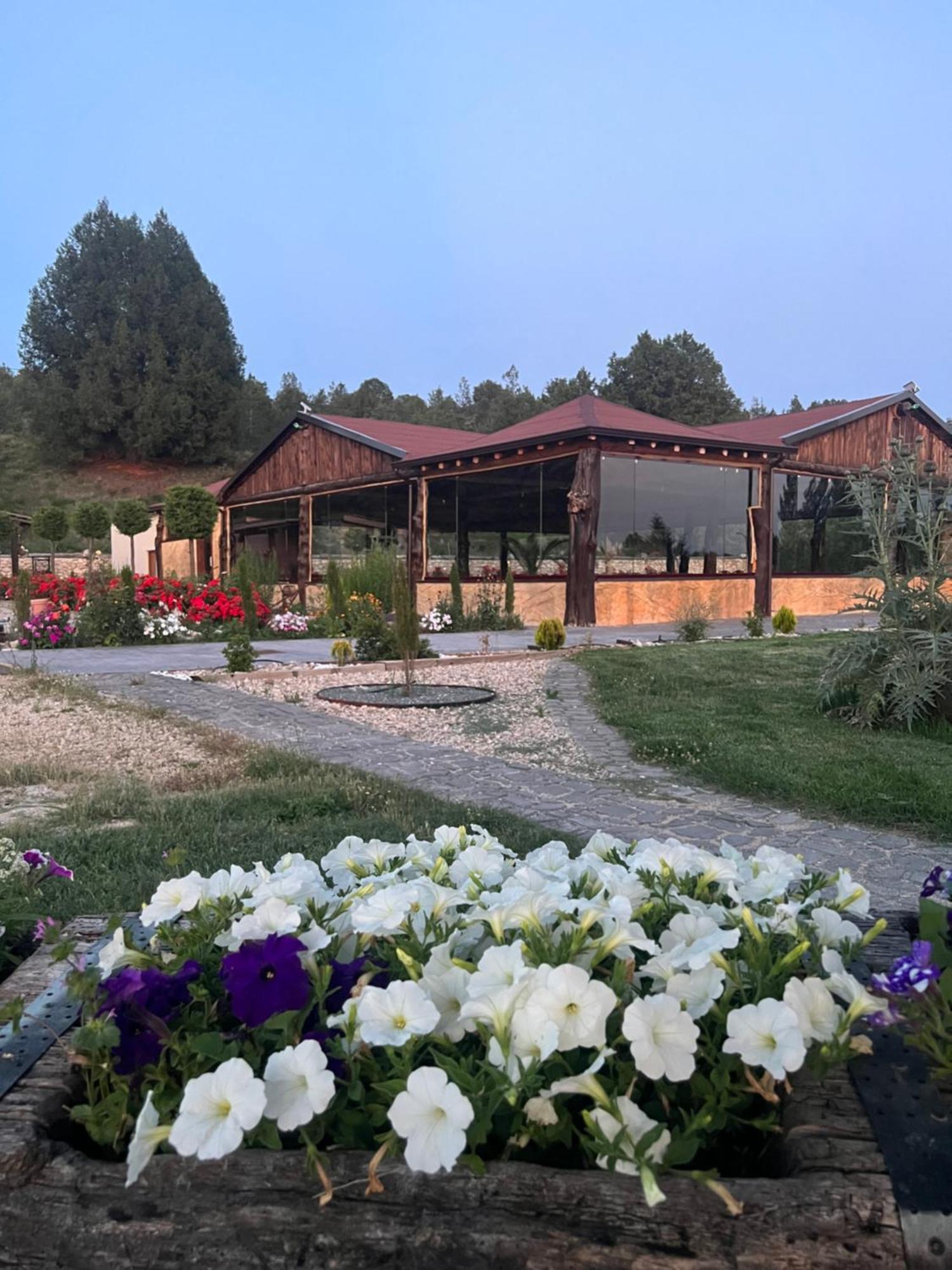 El Burgo De Osma Alojamiento Rural Villa Bagh Zewnętrze zdjęcie